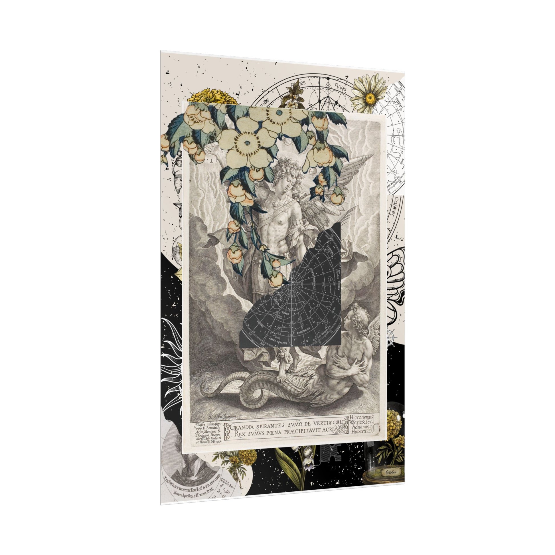 Rolled Posters Vintage-Inspired Vertical Poster, Art Decor, Wall Art, Gift for Home, Botanical Illustrations, Alchemy Renaissance Artwork