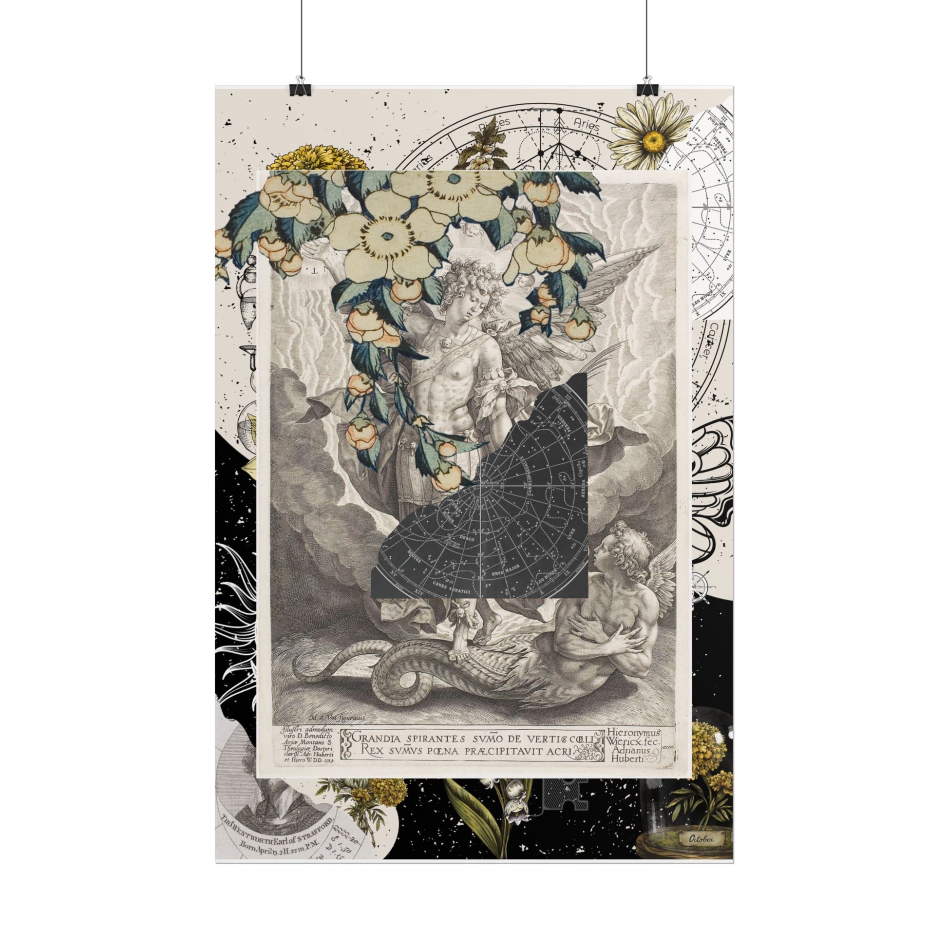 Rolled Posters Vintage-Inspired Vertical Poster, Art Decor, Wall Art, Gift for Home, Botanical Illustrations, Alchemy Renaissance Artwork