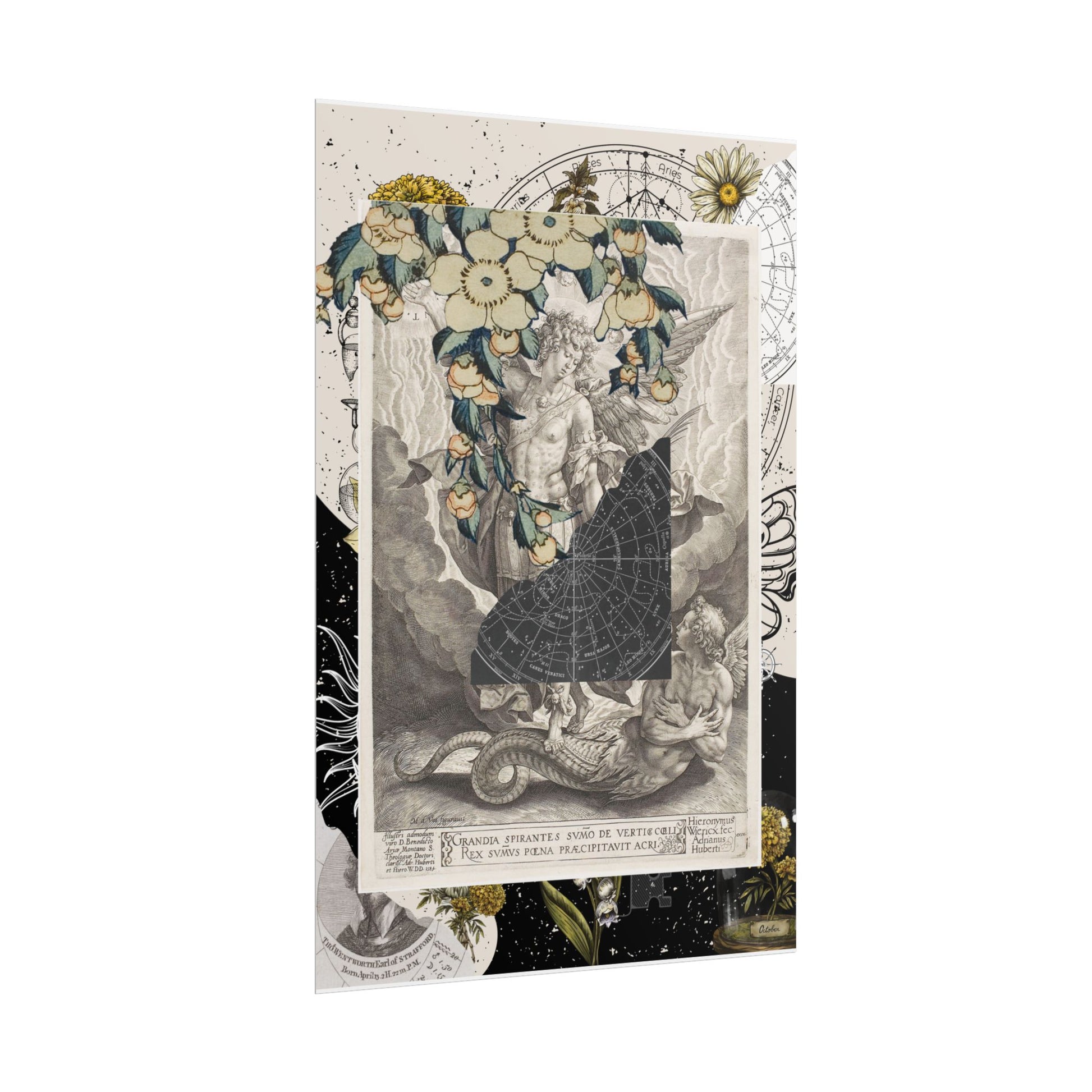 Rolled Posters Vintage-Inspired Vertical Poster, Art Decor, Wall Art, Gift for Home, Botanical Illustrations, Alchemy Renaissance Artwork
